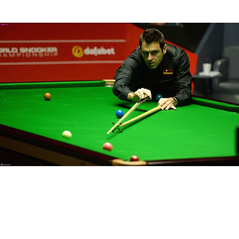 因为行程安 因为行程安