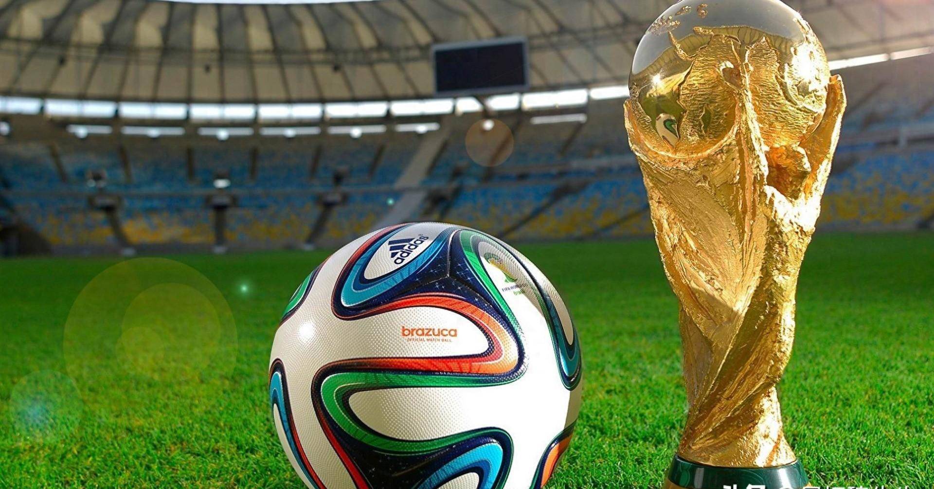 这位来自比 这位来自比