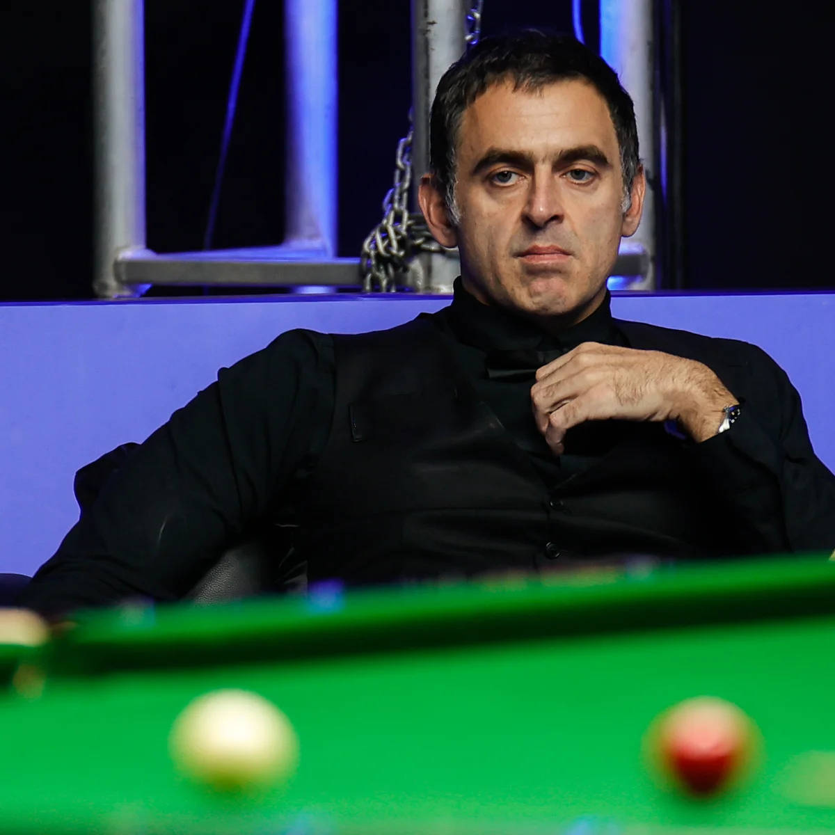 供专业培训 供专业培训