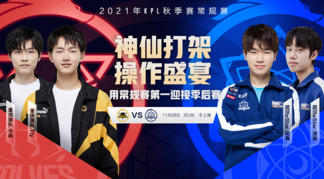 的专业知识 的专业知识