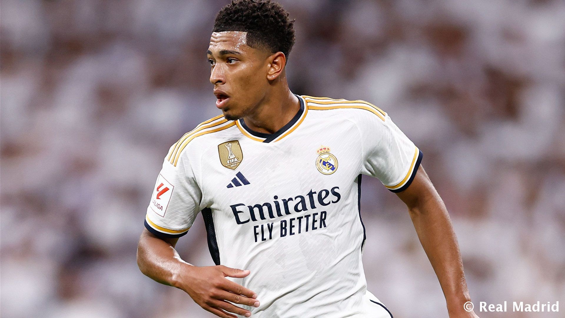 用效率兑现 用效率兑现