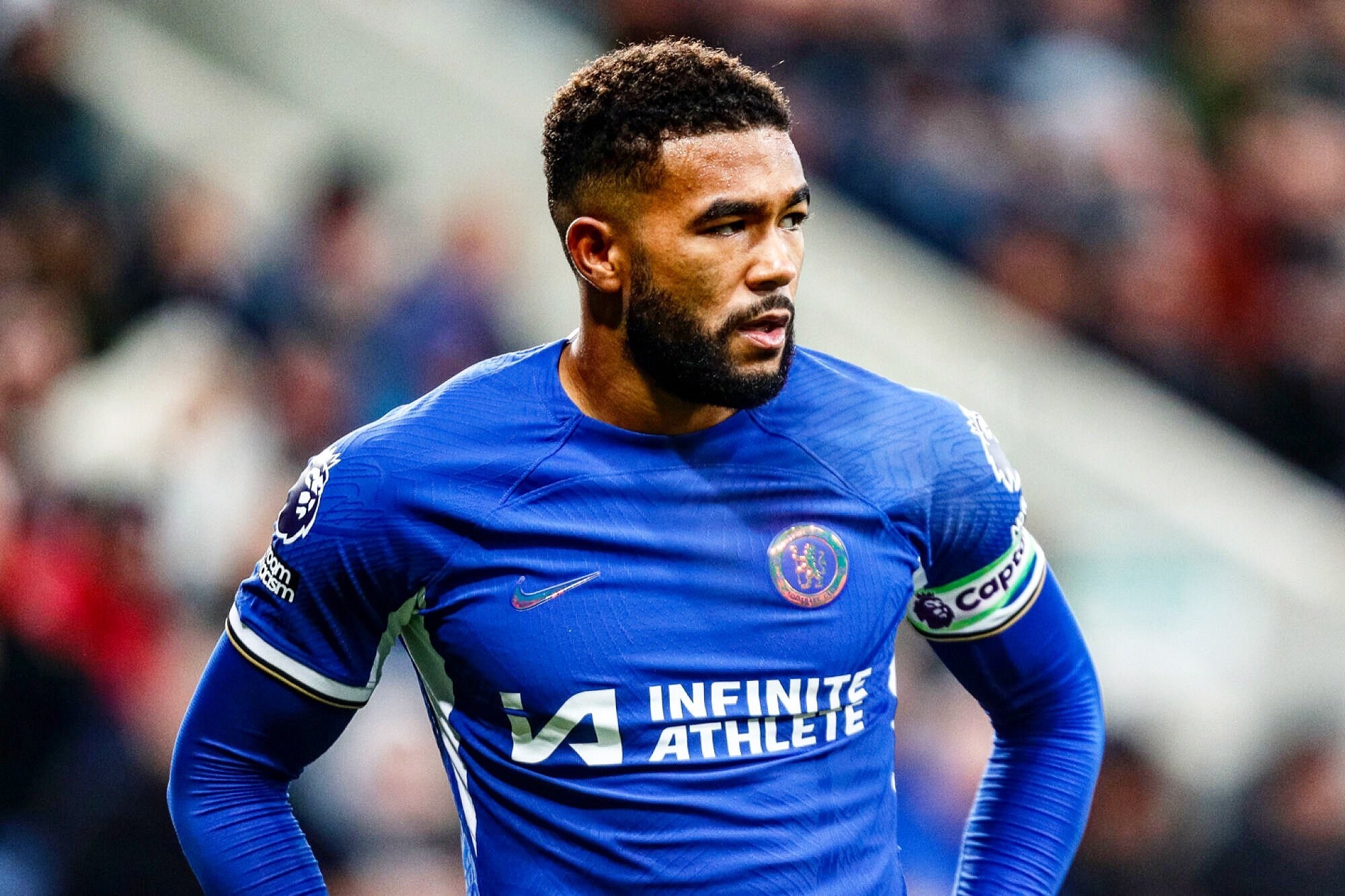 而雄鹿尽管 而雄鹿尽管