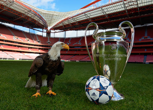 逐步固化触 逐步固化触