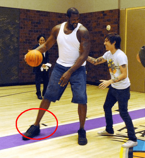 光之穹頂 光之穹頂